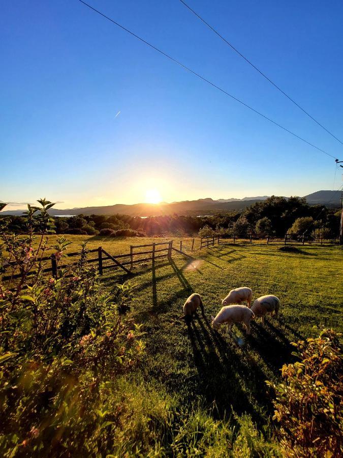 Oaklane Glamping Cabins Kenmare Exterior foto