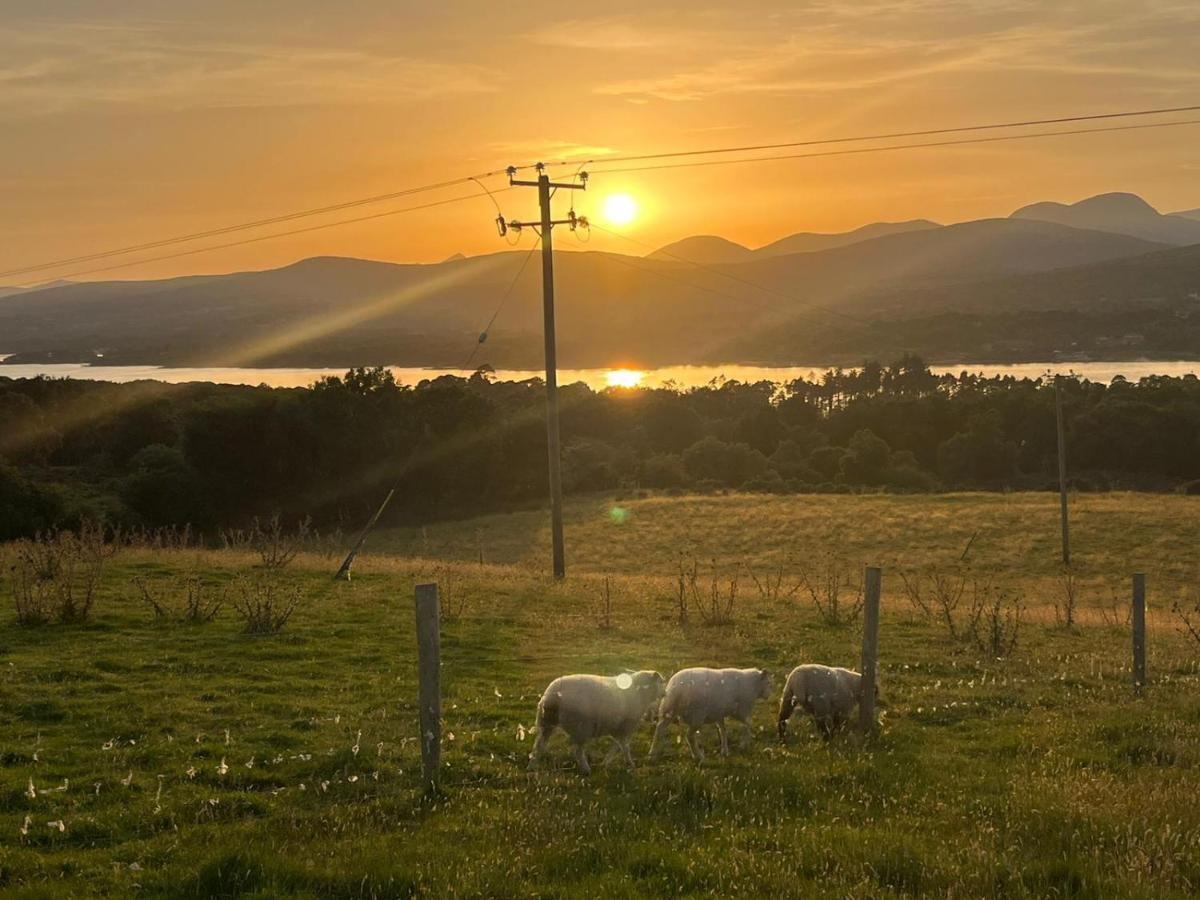 Oaklane Glamping Cabins Kenmare Exterior foto